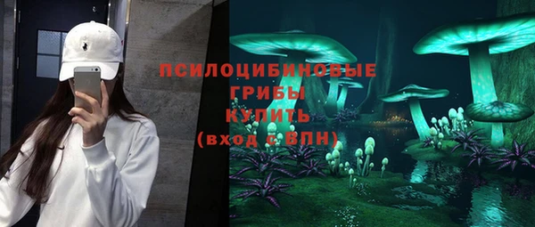 тгк Липки